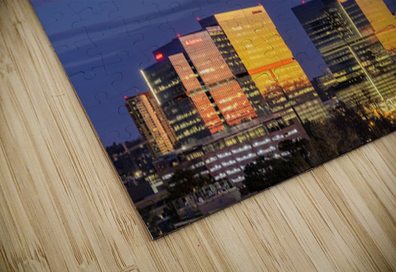 SANDY SPRINGS SKYLINE Doug Sturgess Puzzle