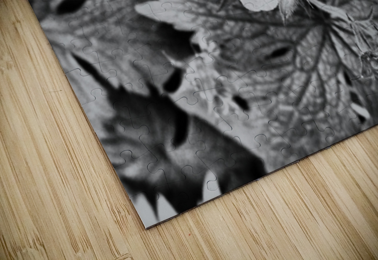 Monochrome Dew Kissed Geranium   Catriona Roberts Nature Photography and Designs Puzzle