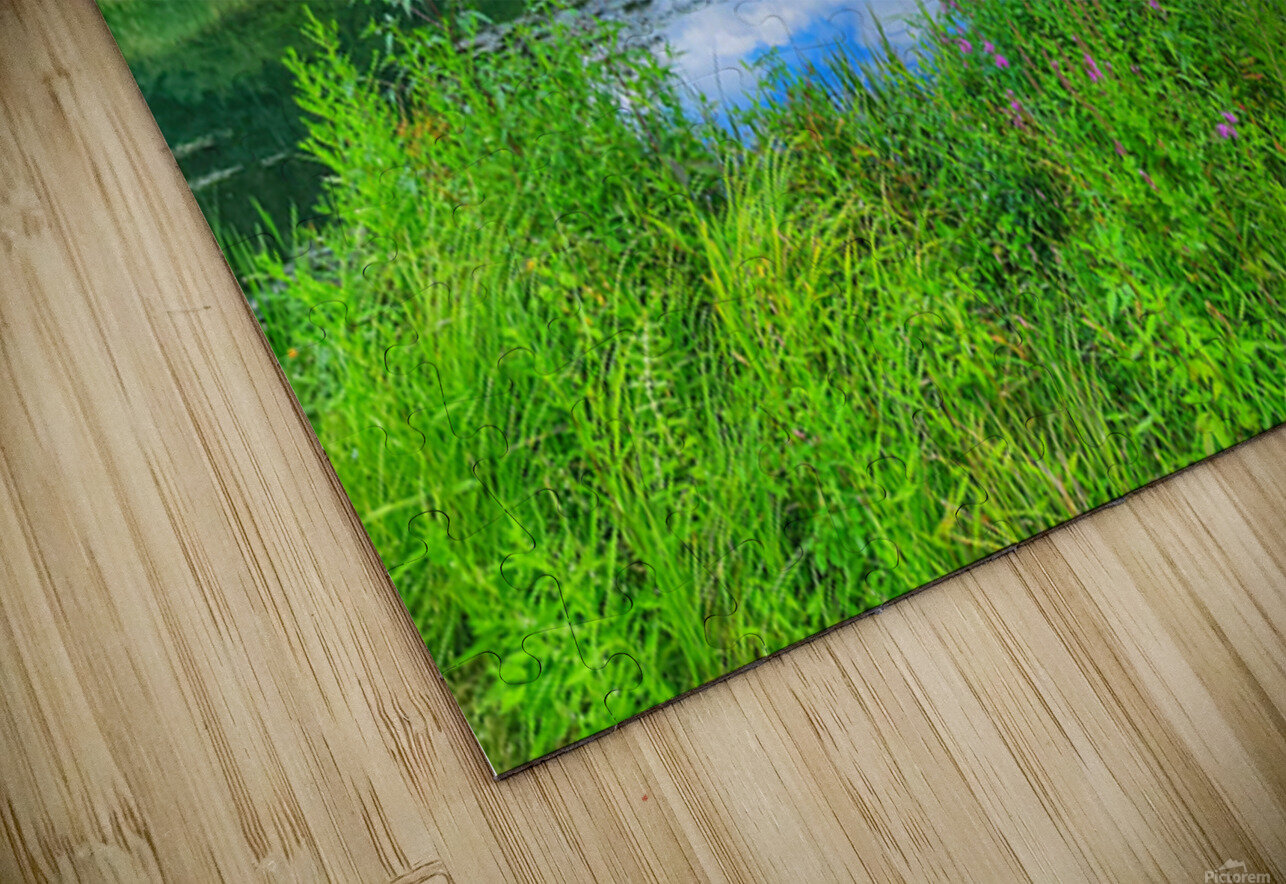 07 Spring Card Kevin Savage Puzzle