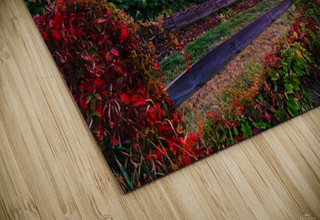 05 Spring Card Kevin Savage Puzzle