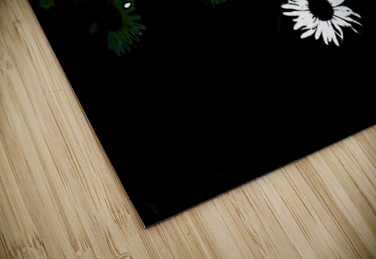  Monochrome Night Blooms                                                                                                                     Catriona Roberts Nature Photography and Designs Puzzle