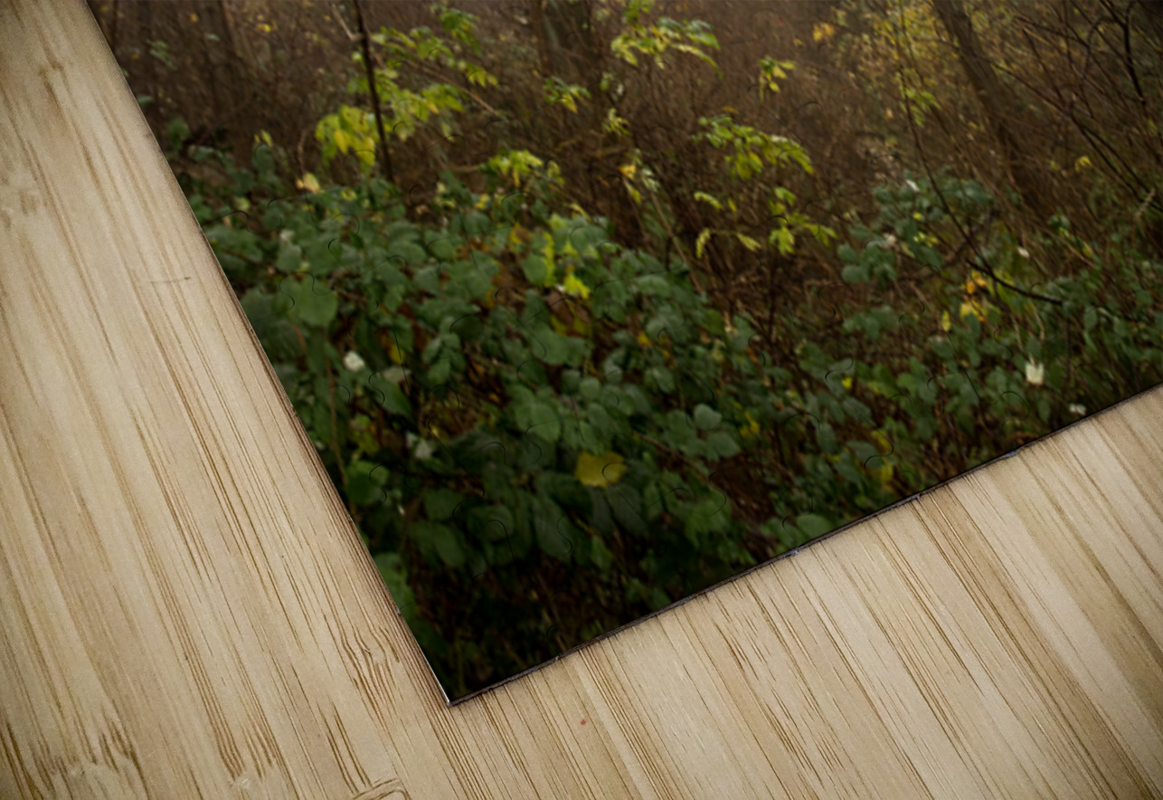 The Enchanted Forest Marilaine Delisle Puzzle