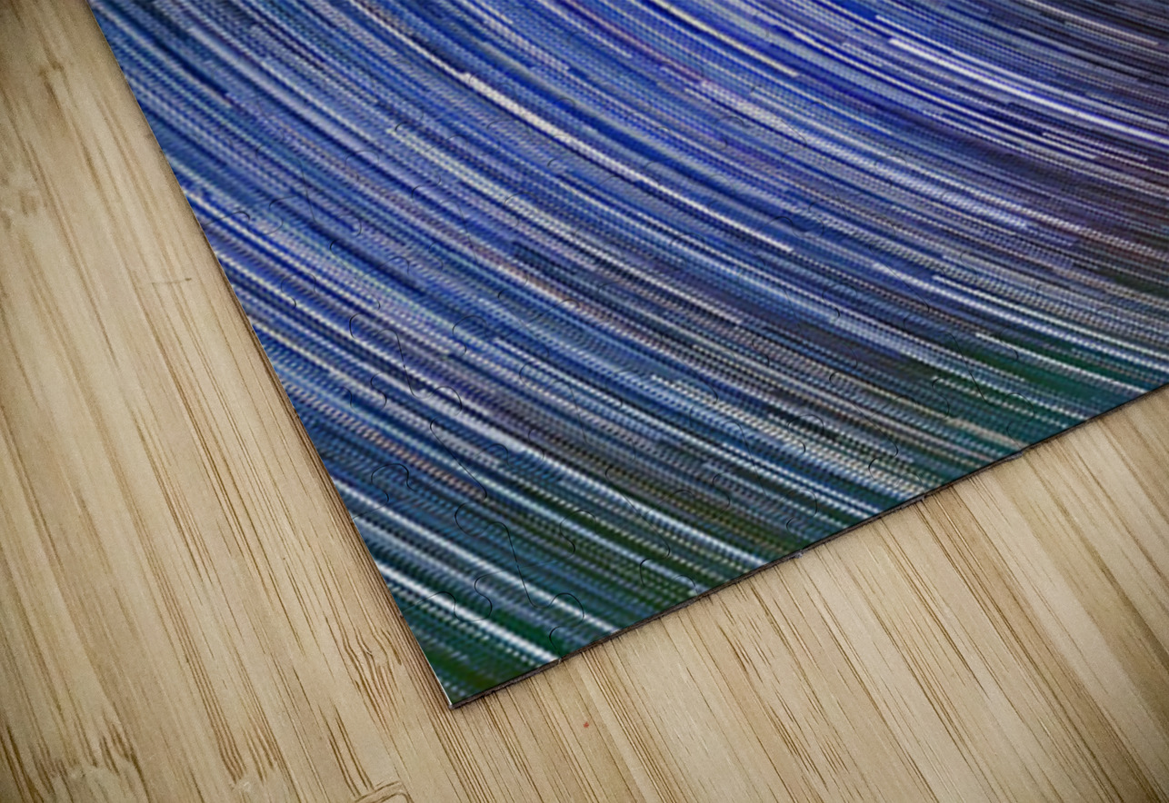 Circles of Time Astronight Astrophotography by John Buonomo Puzzle