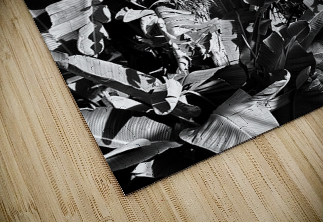 Tropical Shadows Tracy Currie ~ Digital Photo Artist Puzzle