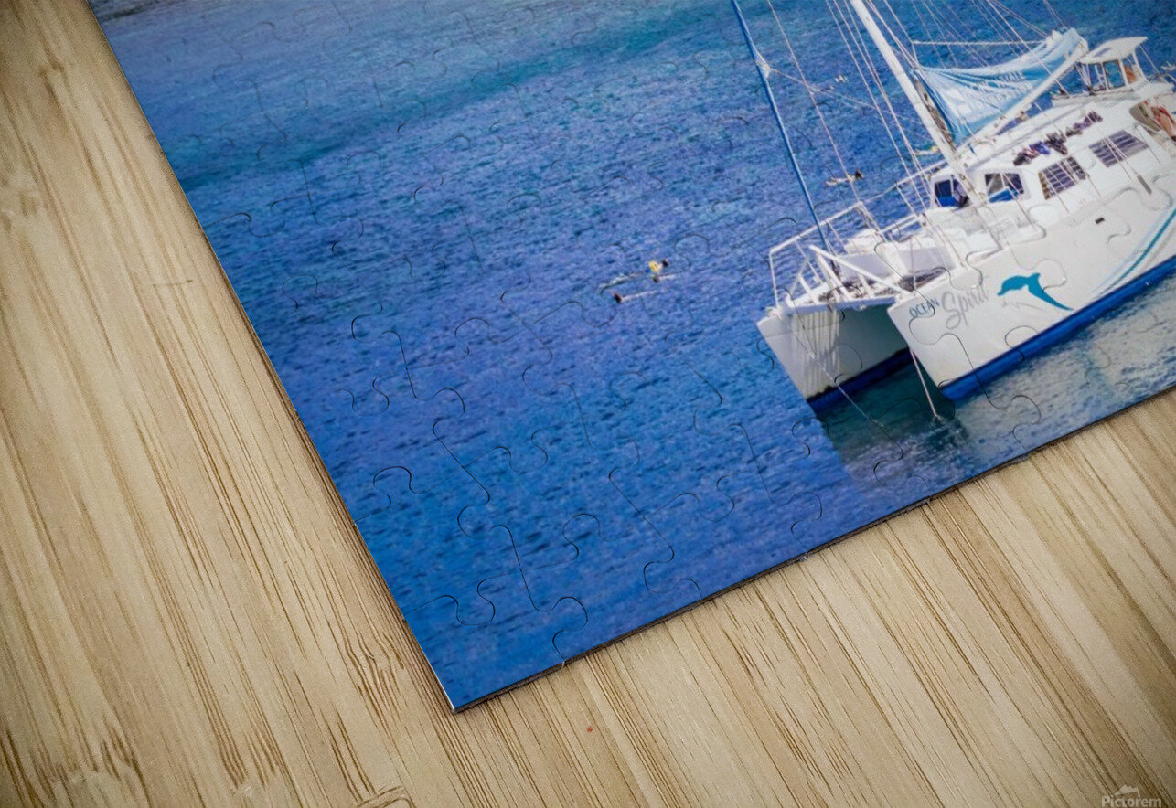 Honolua Bay   Maui Hawaii 1327 Sanjeev Singhal Puzzle