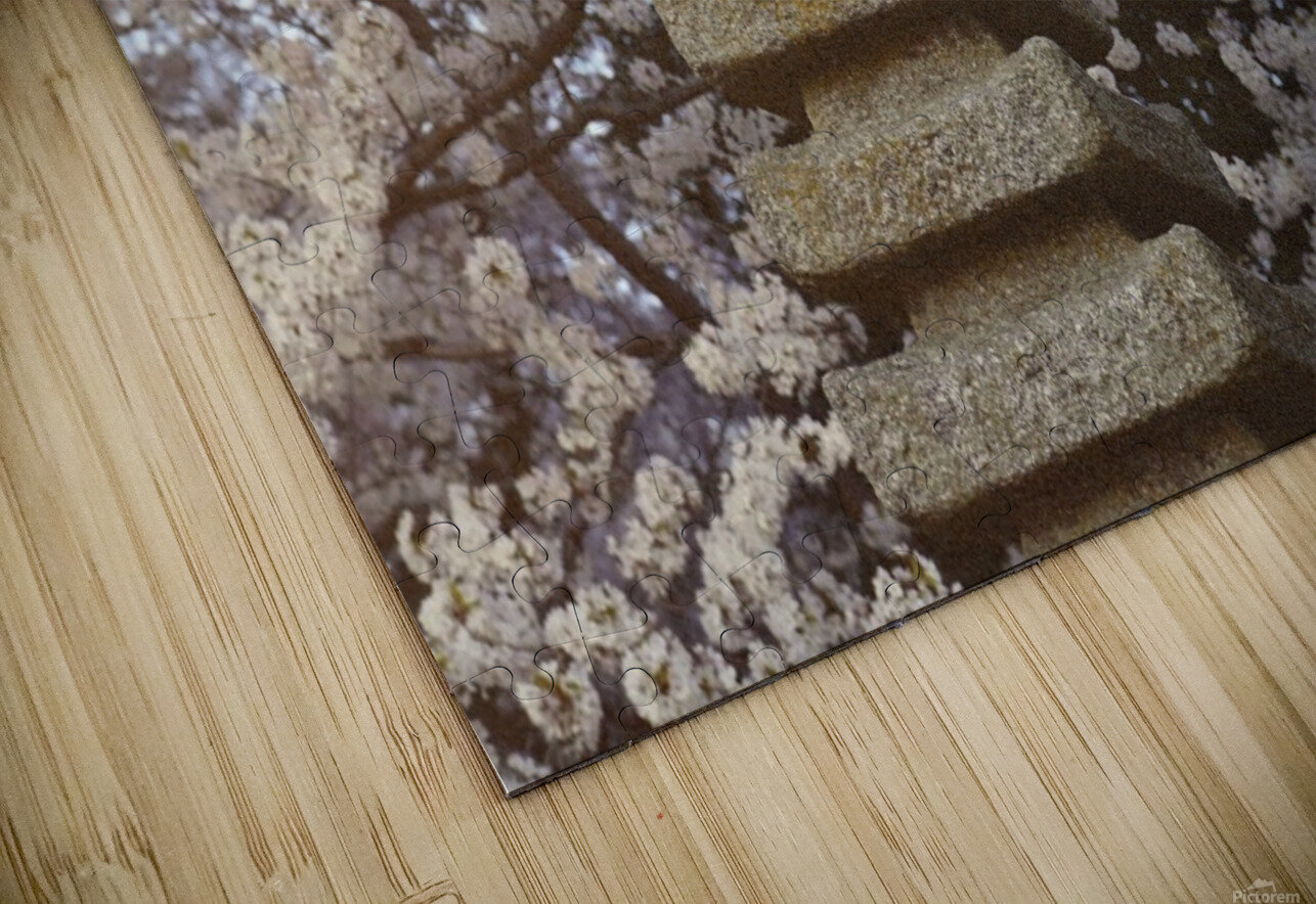 Cherry Blossom Statue VMC Photography Puzzle