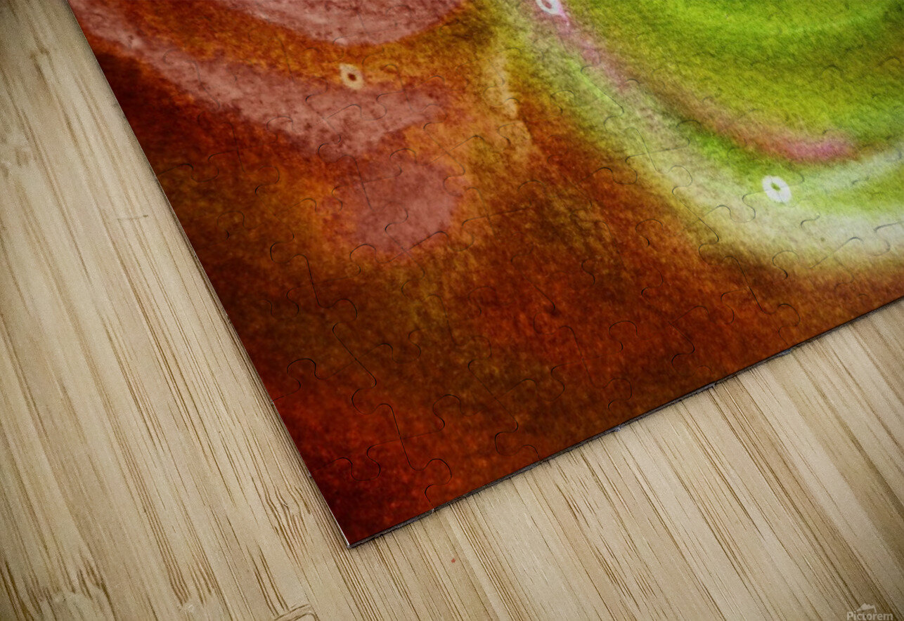 Warm Fall Flamenco Dance Abstract Watercolor  Irina Sztukowski Puzzle