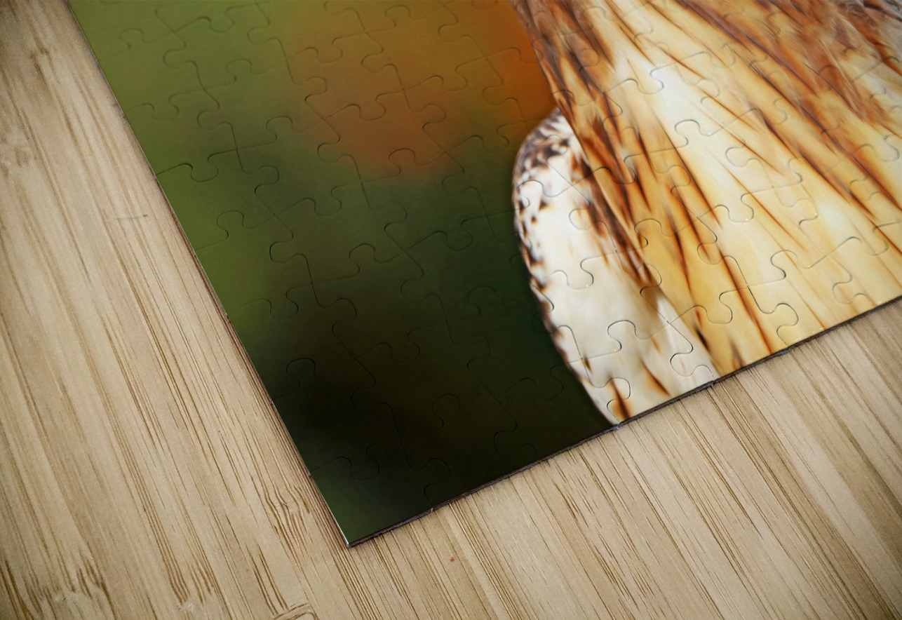 Red Tailed Hawk Stare Deb Oppermann Puzzle