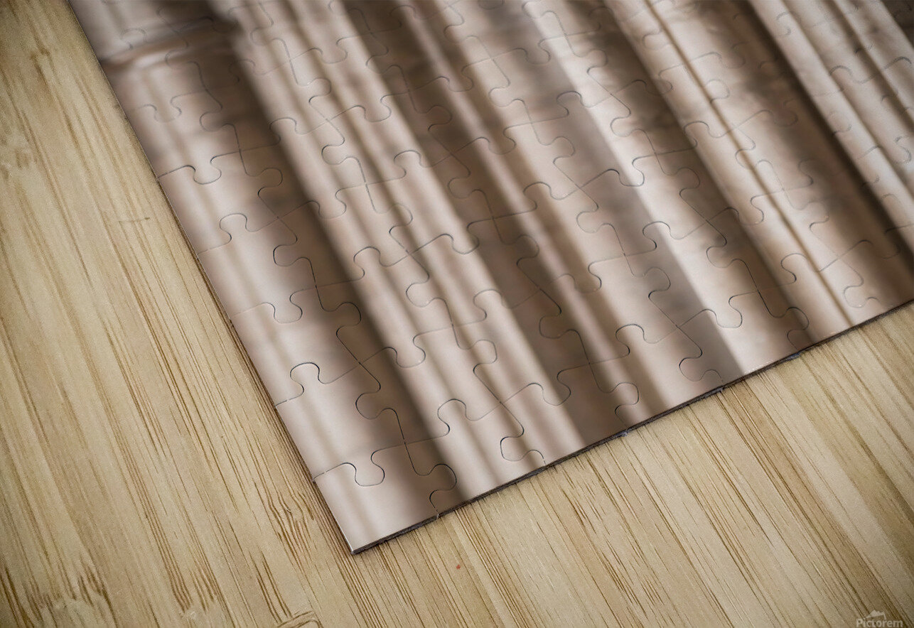 Architectural details in cathedral Assaf Frank Puzzle