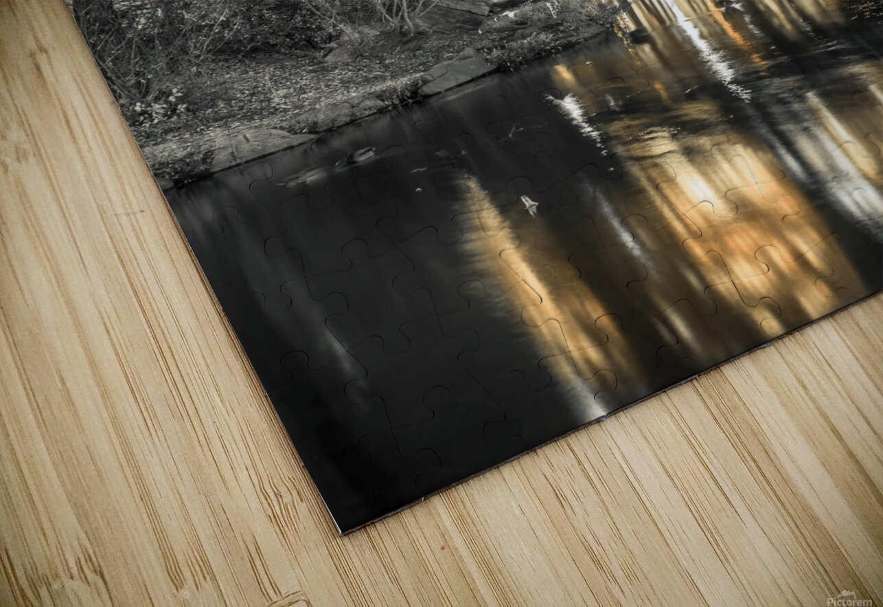 Evening view of Central Park in New York City Assaf Frank Puzzle