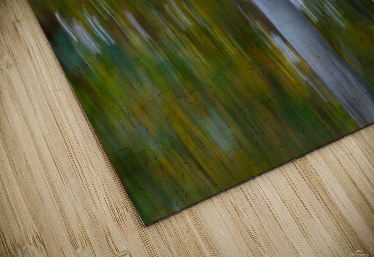 Birch Trees Autumn Michelle K Wood Puzzle