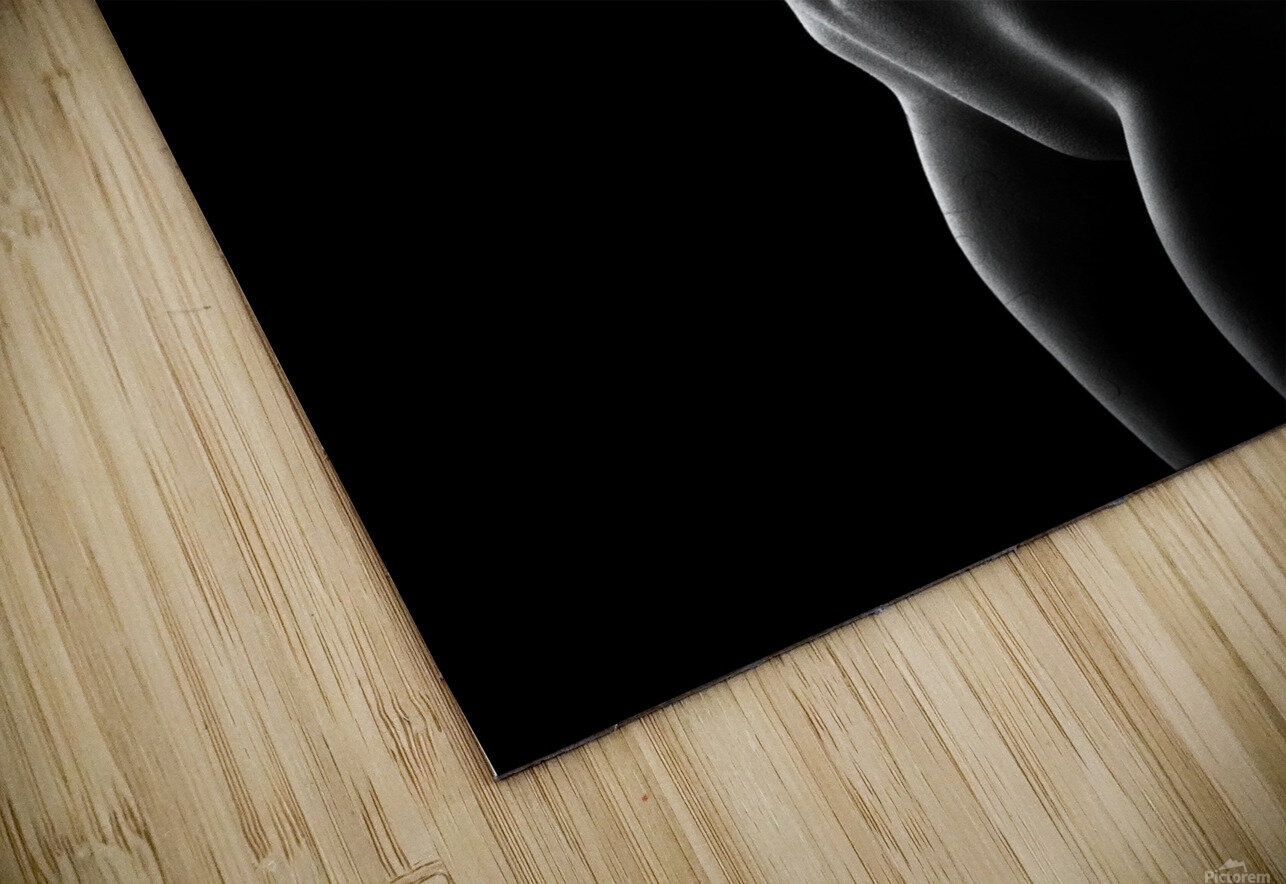 Nude black versus white 2 HD Sublimation Metal print