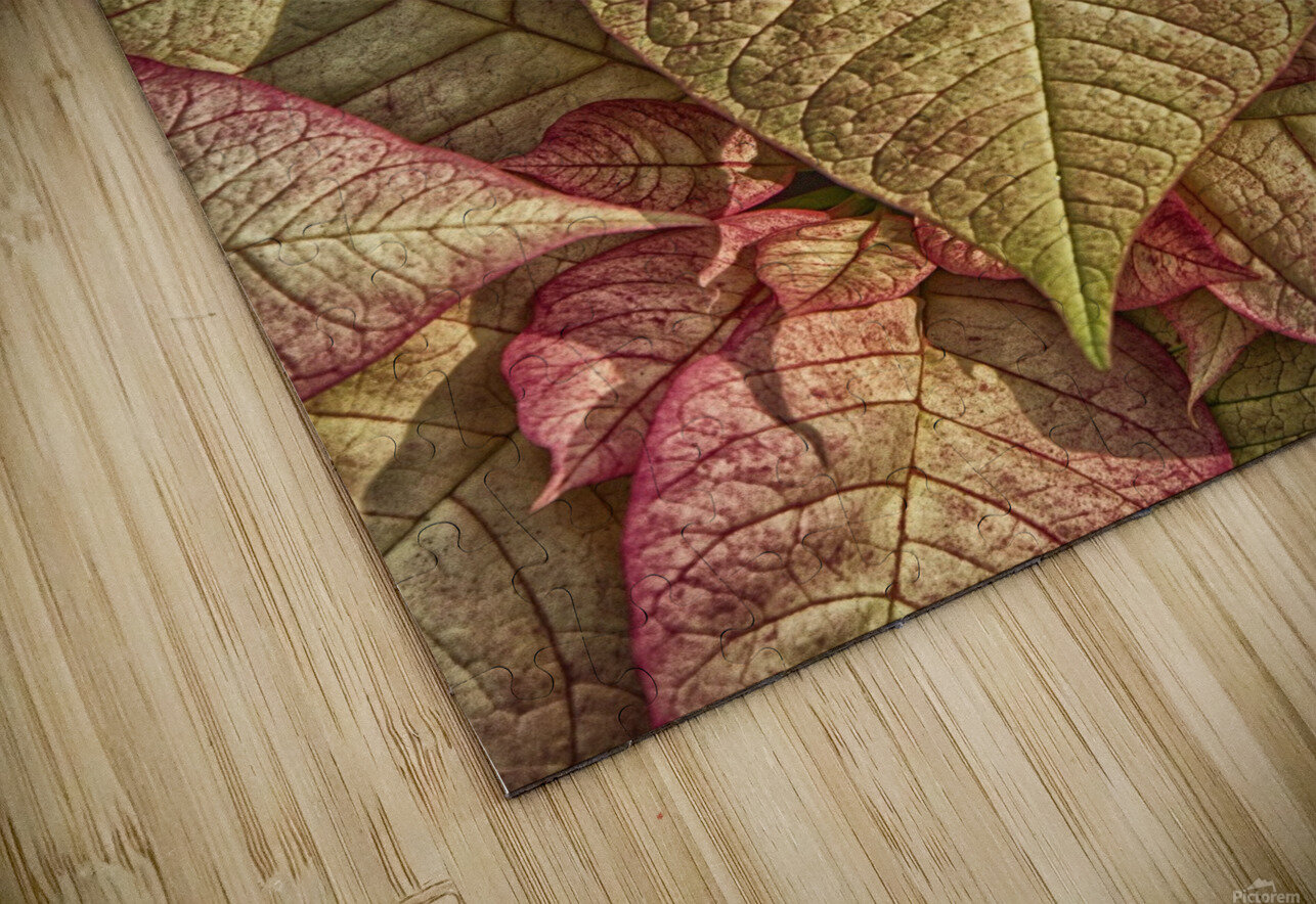 plant 3 Eugene Rosenthal Puzzle