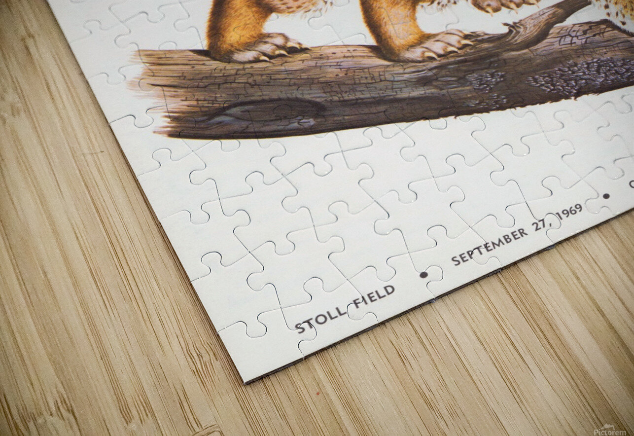 1969 Ole Miss Rebels at Kentucky Wildcats Row One Brand Puzzle