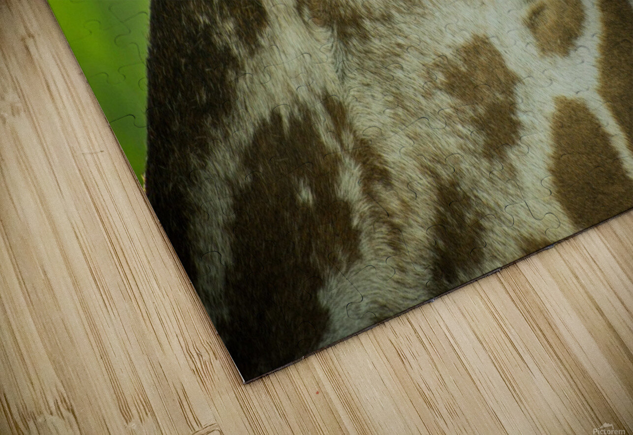 20181104 DSC 0225  3  Jodi Webber Puzzle