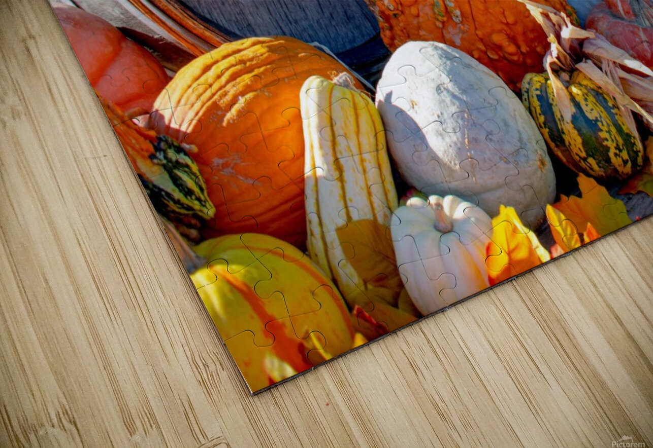 20181028 DSC 0048  4  Jodi Webber Puzzle