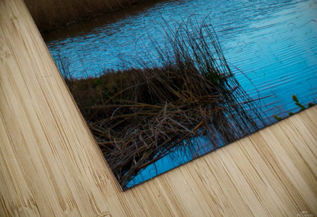 20190228 DSC 0066 2 Jodi Webber Puzzle