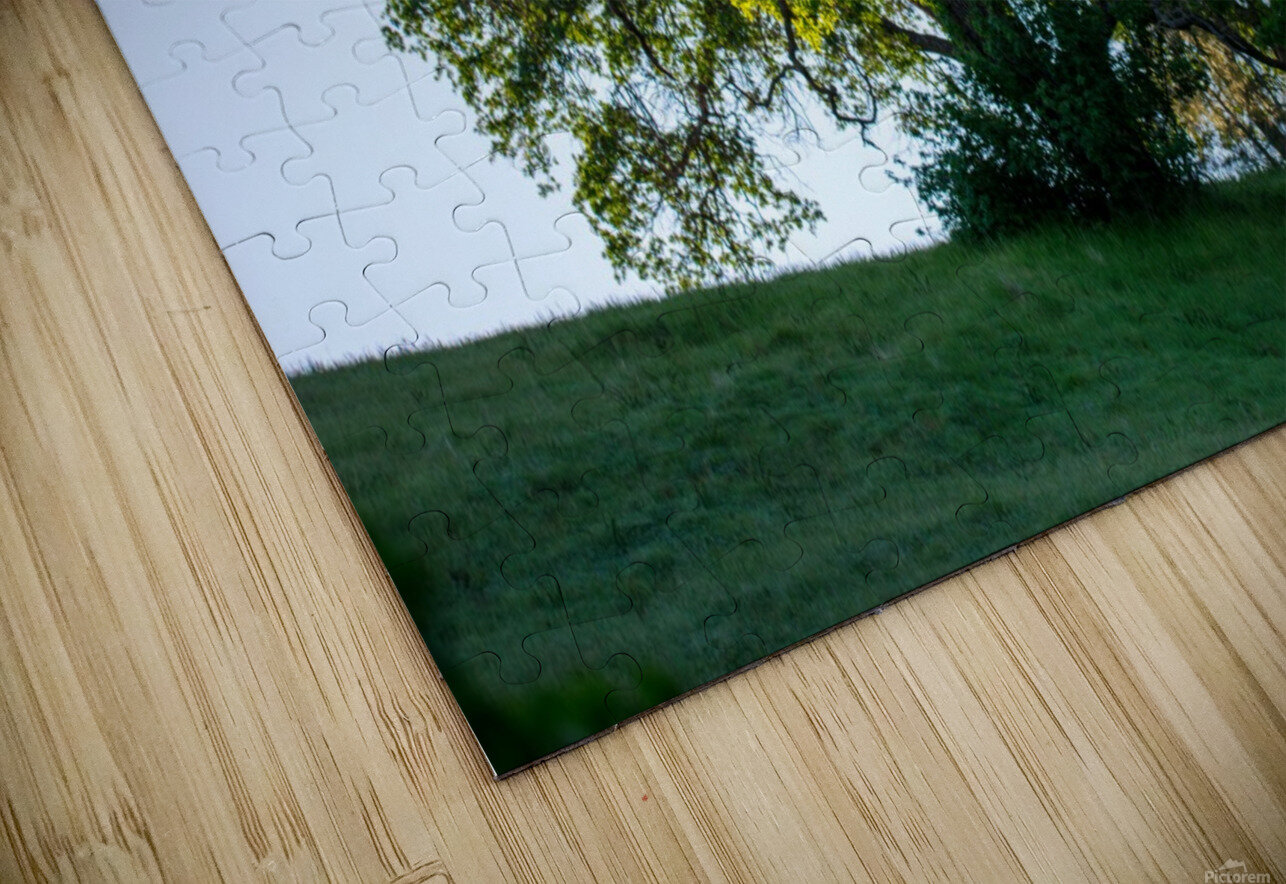 20190418 DSC 0043 Jodi Webber Puzzle