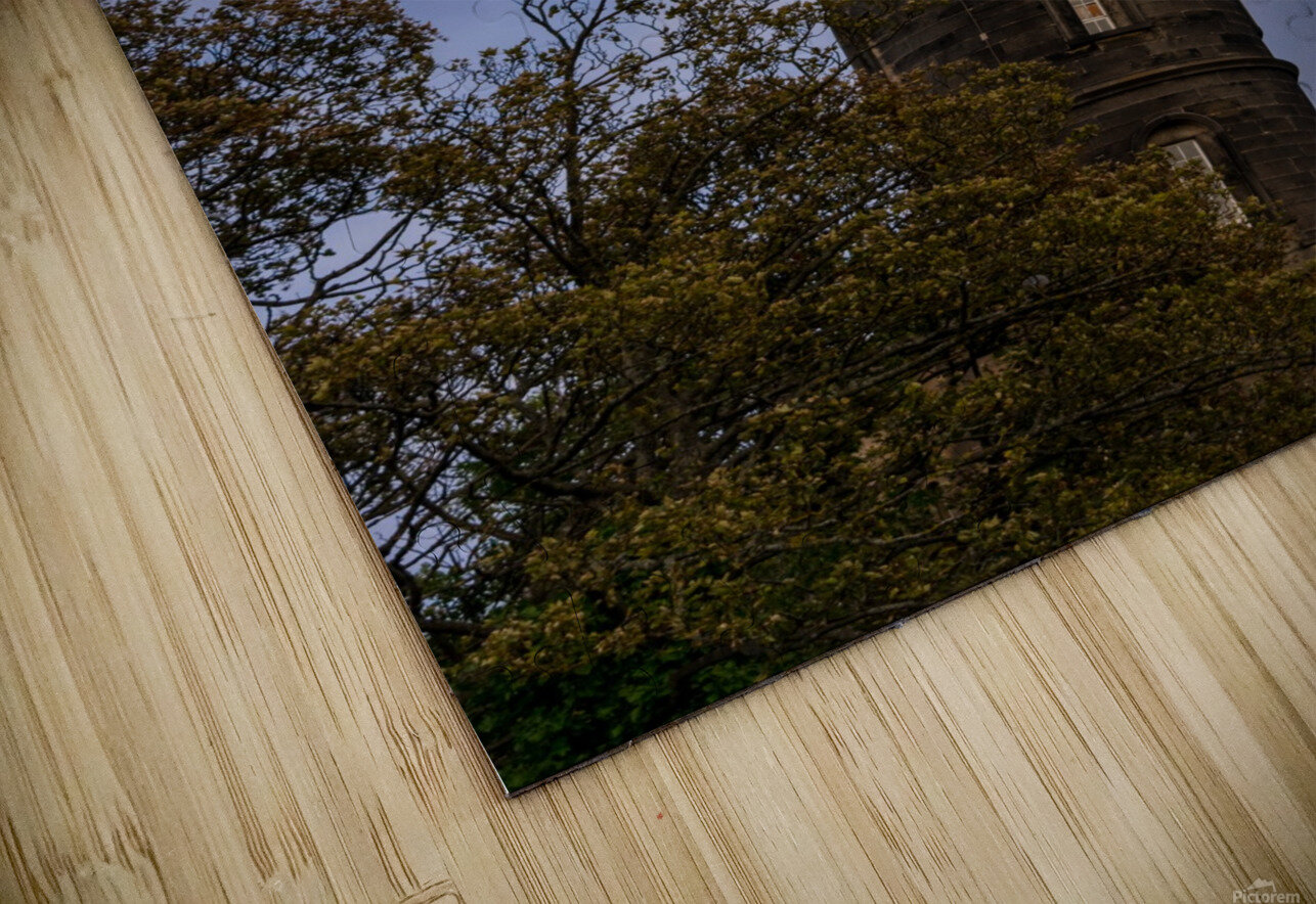 20190917 DSC 0194 Jodi Webber Puzzle