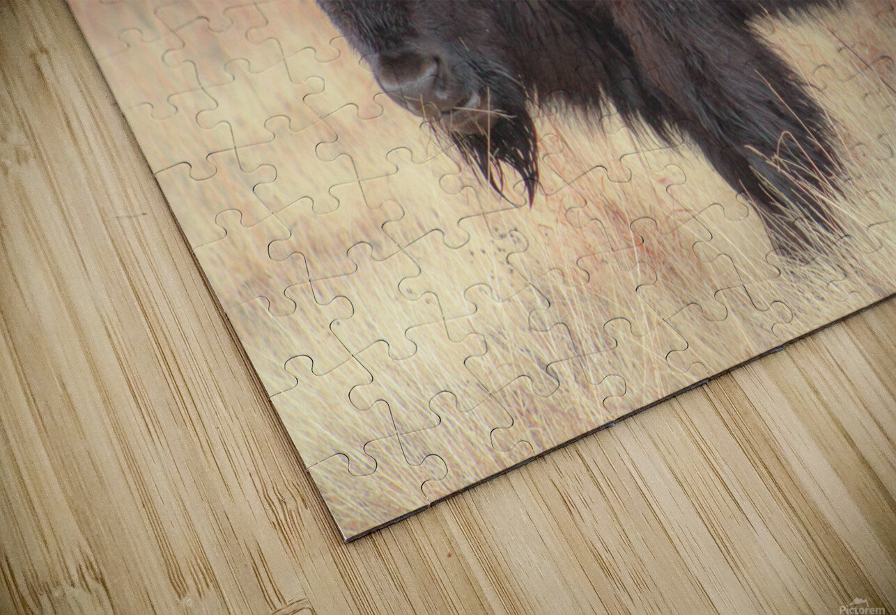 Perfect Eyebrows Susan Diann Photography Puzzle