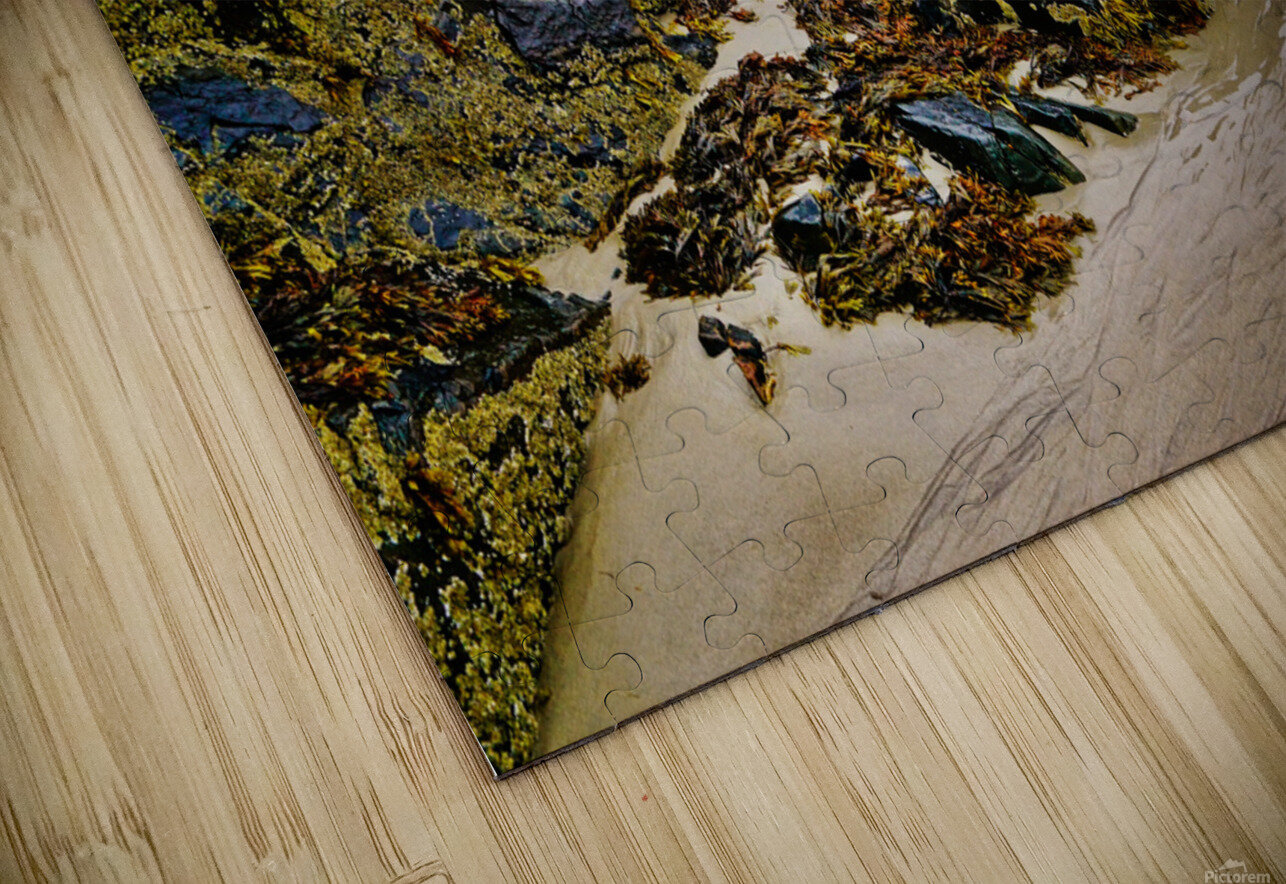 Rebirth of the Soul at Ogunquit Maine  Christian Joseph Clairmont Puzzle