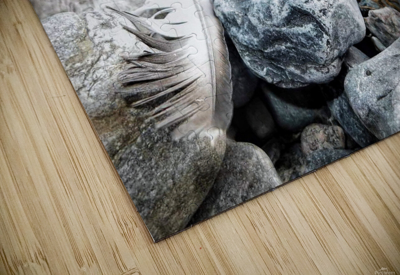 Rocky Shores Mel Green Photography Puzzle