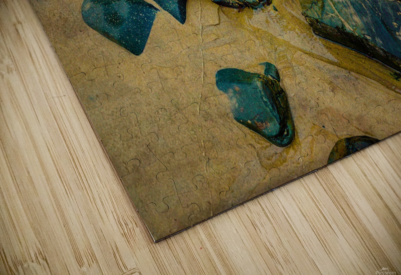  Into the Sand and Sea  Christian Joseph Clairmont Puzzle