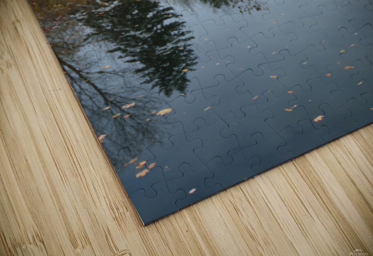 Fresh Snow and Pond Reflections Michelle K Wood Puzzle