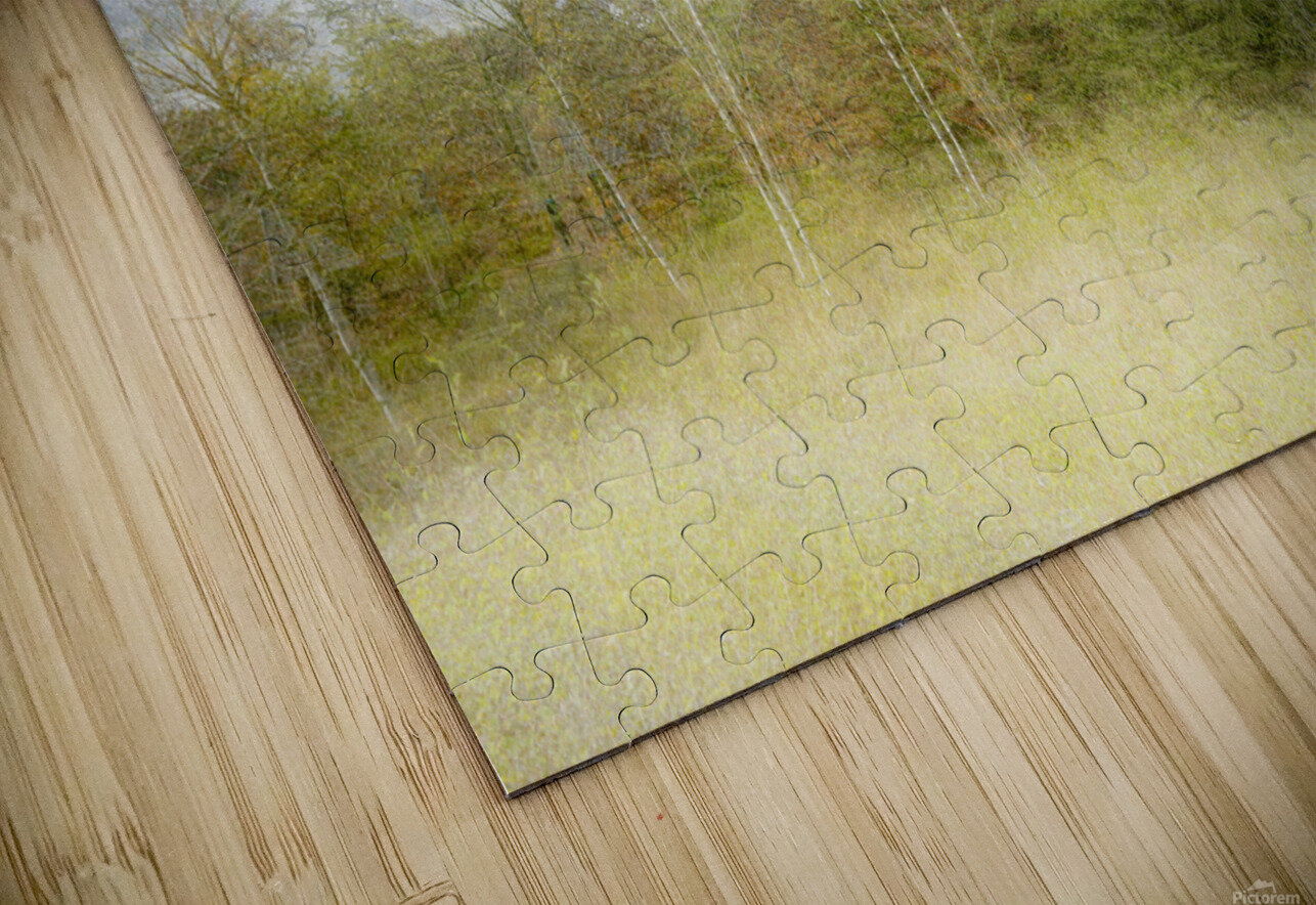 Impressionistic birch 1x Puzzle