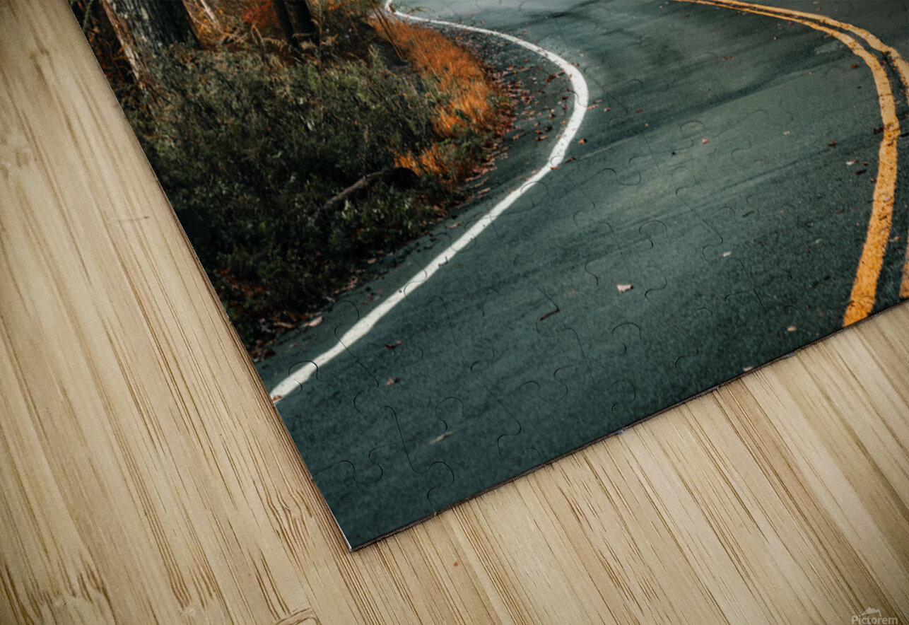 Road to fall 1x Puzzle