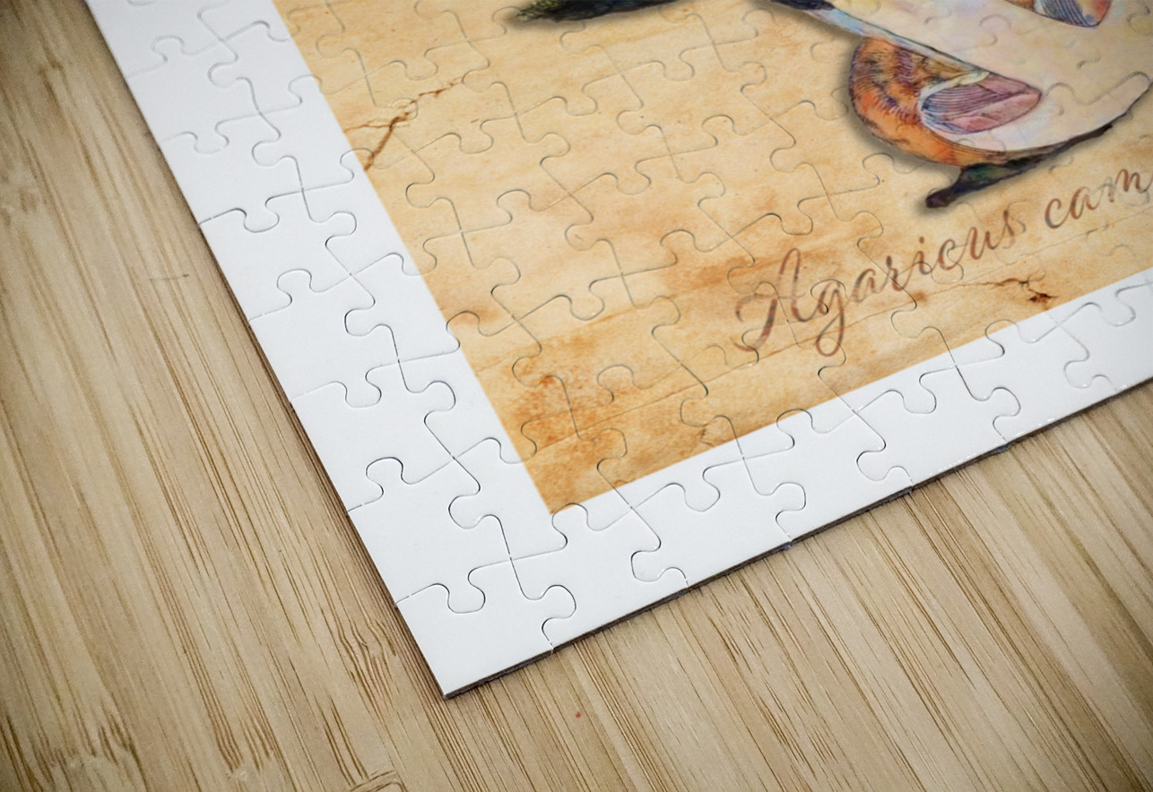 Agaricus Campestris Cathleen Klibanoff Puzzle