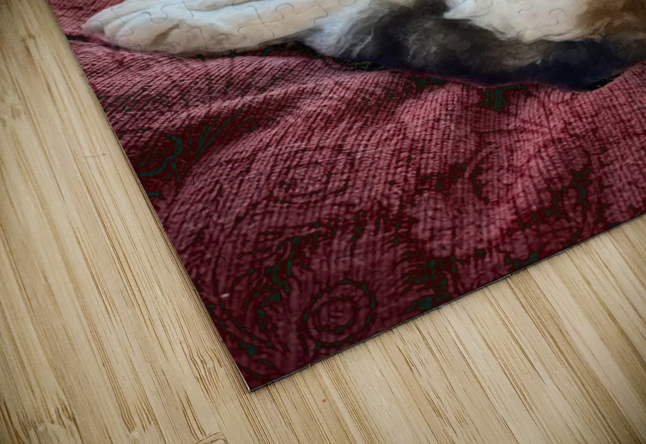 Cheesecake Cathleen Klibanoff Puzzle