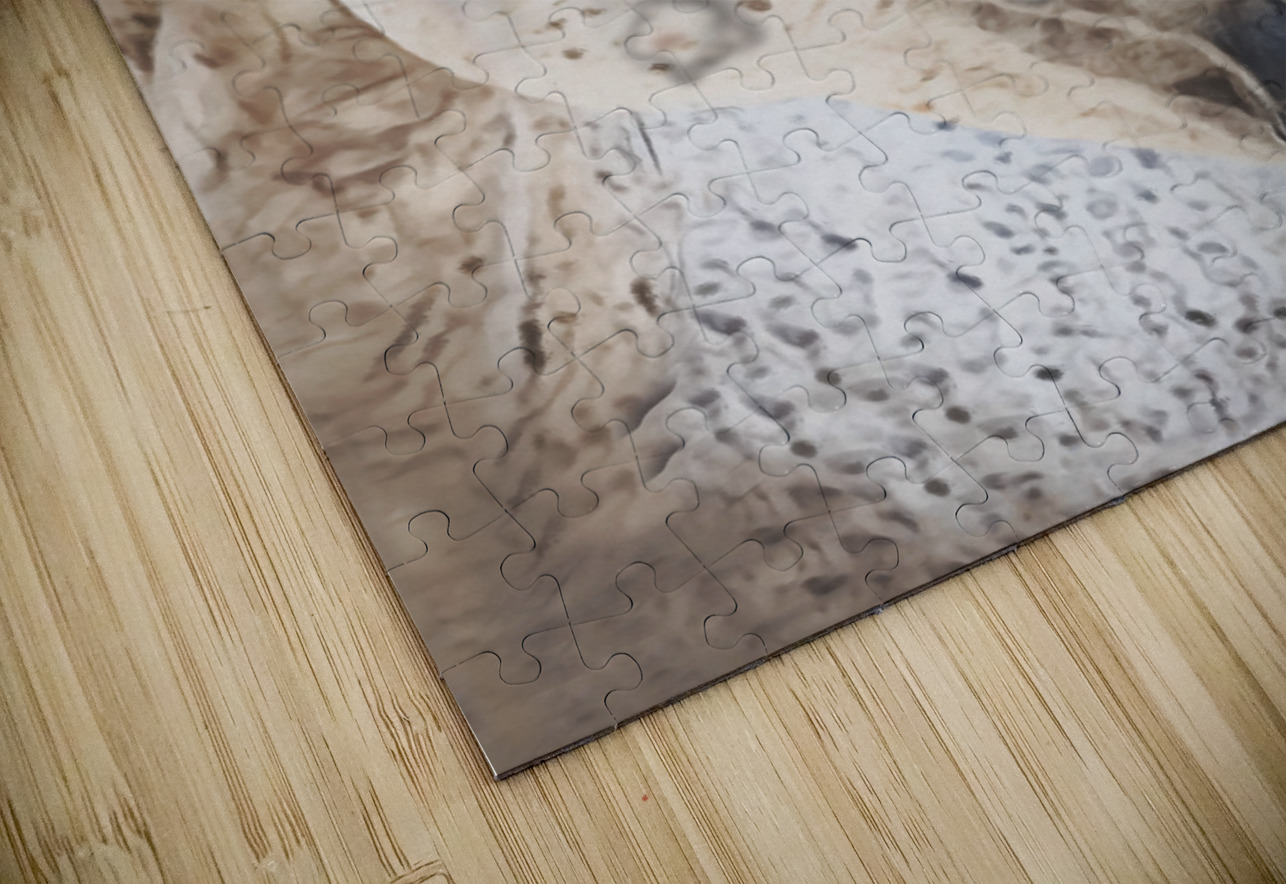 Queen Cathleen Klibanoff Puzzle