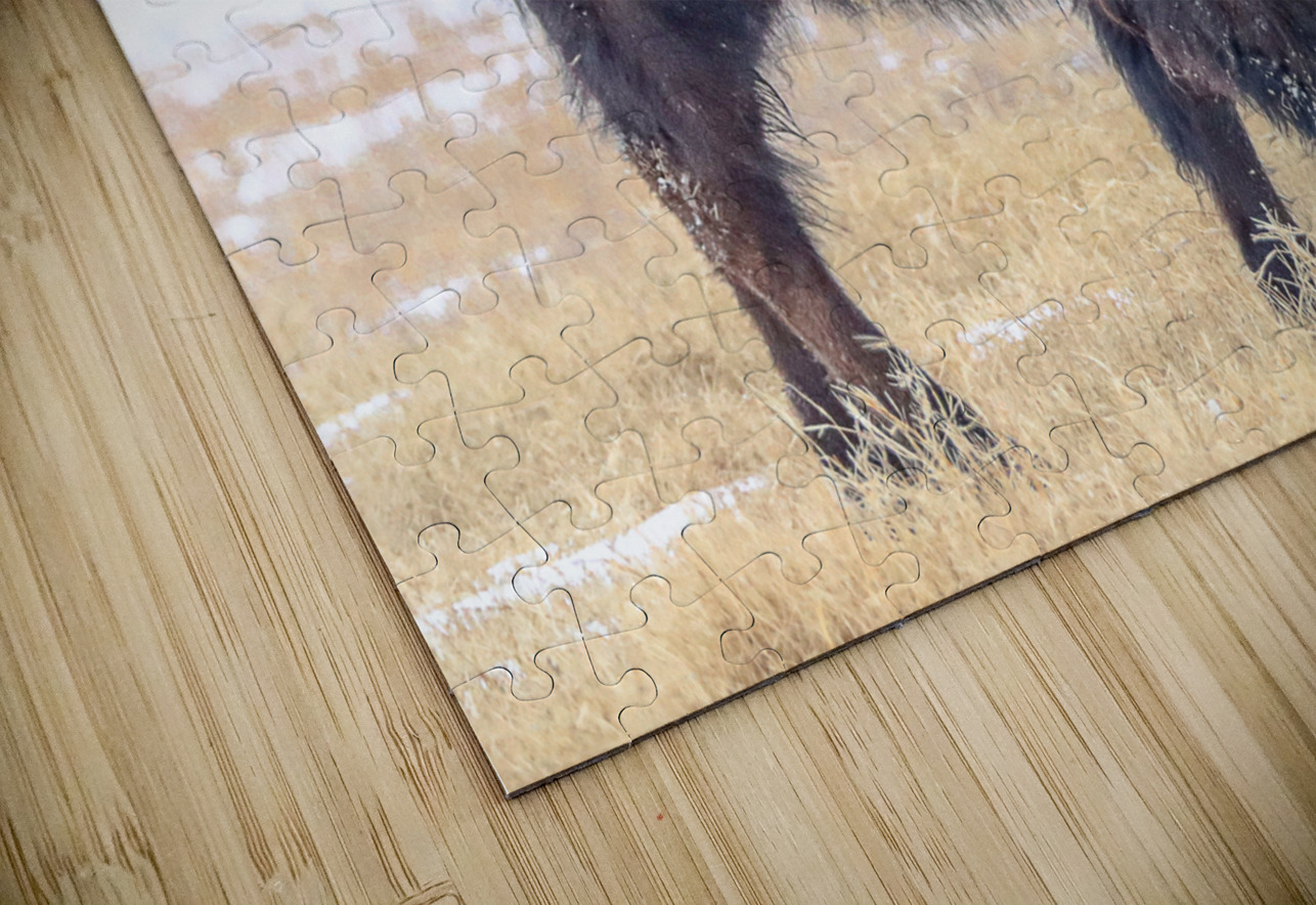 Baby Its Cold Susan Diann Photography Puzzle