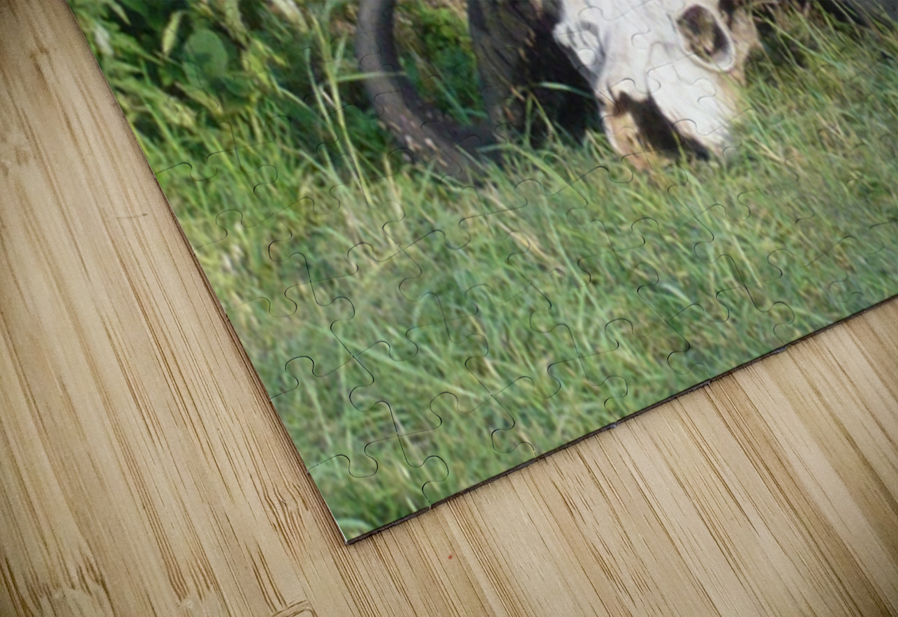 JPTCM 6 James Cooke Puzzle