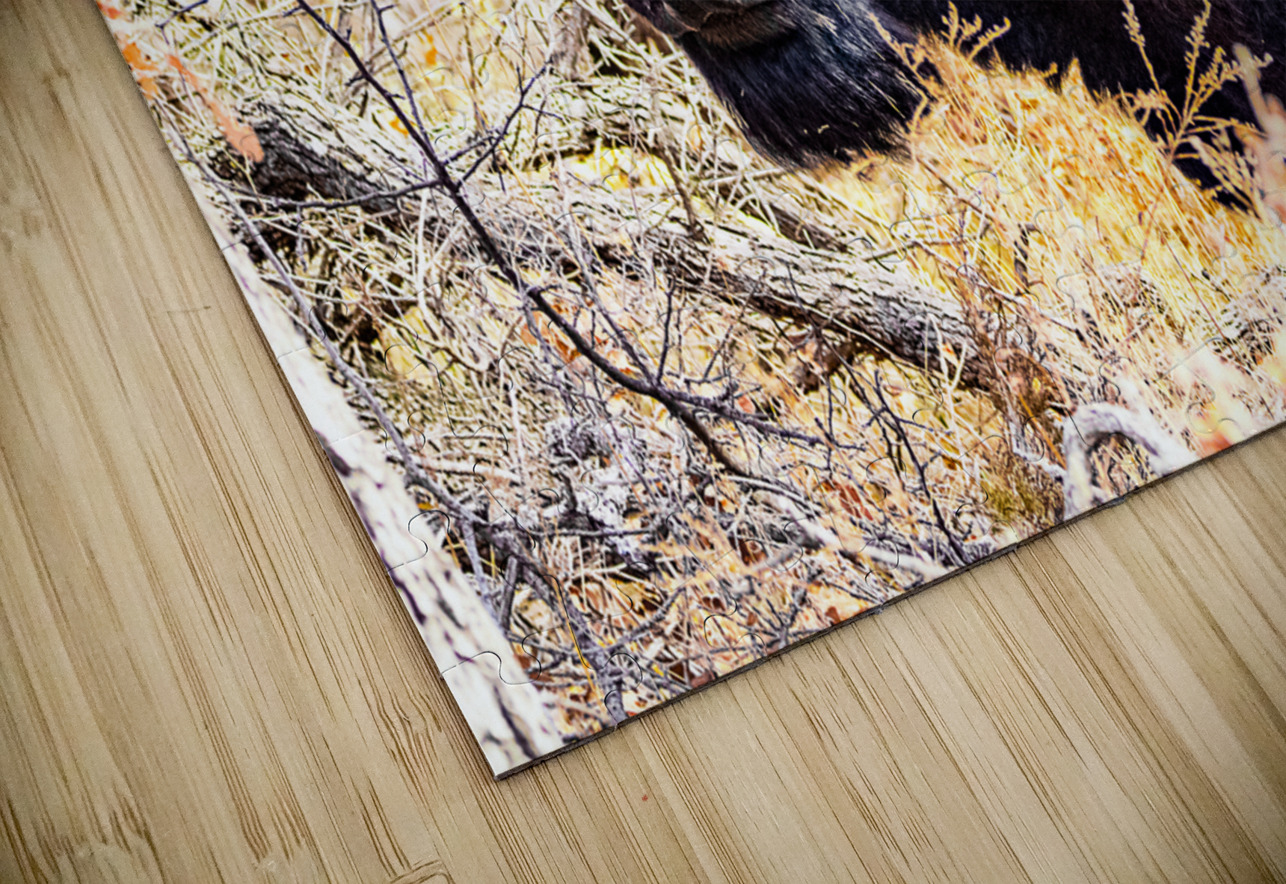 Into the Woods I Go Susan Diann Photography Puzzle