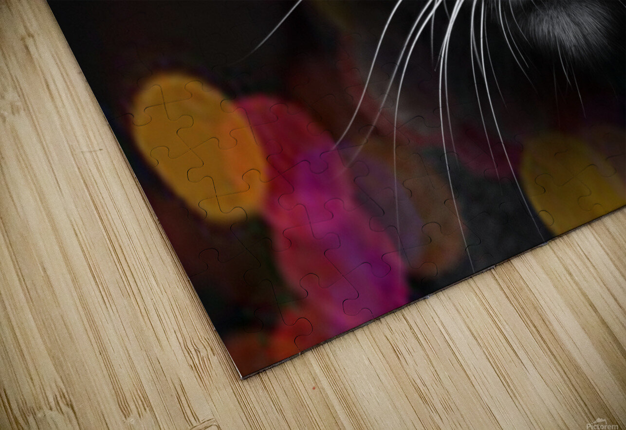 cat bokeh  Vibrant Canvases Puzzle