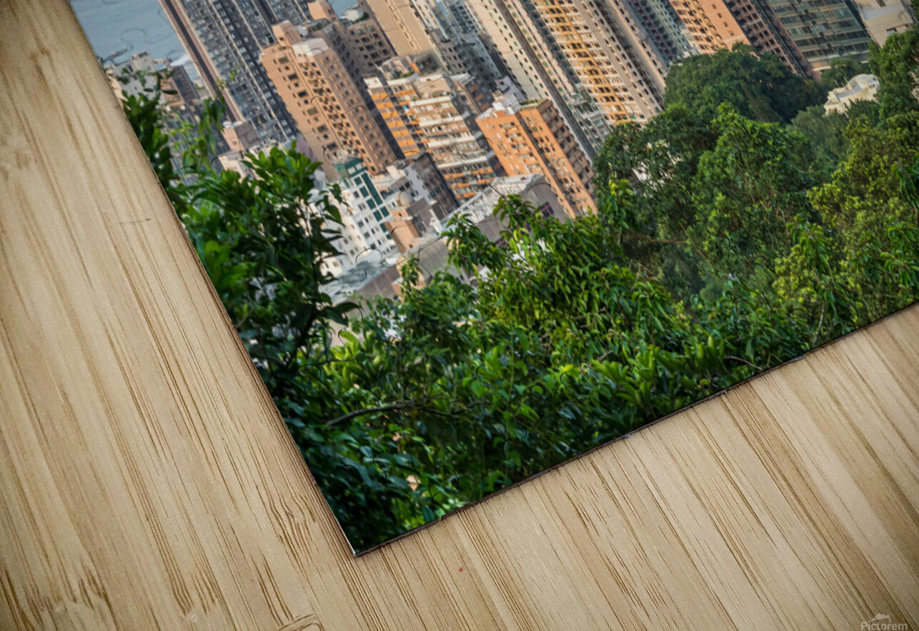 Hong Kong in the Evening caladoart Puzzle