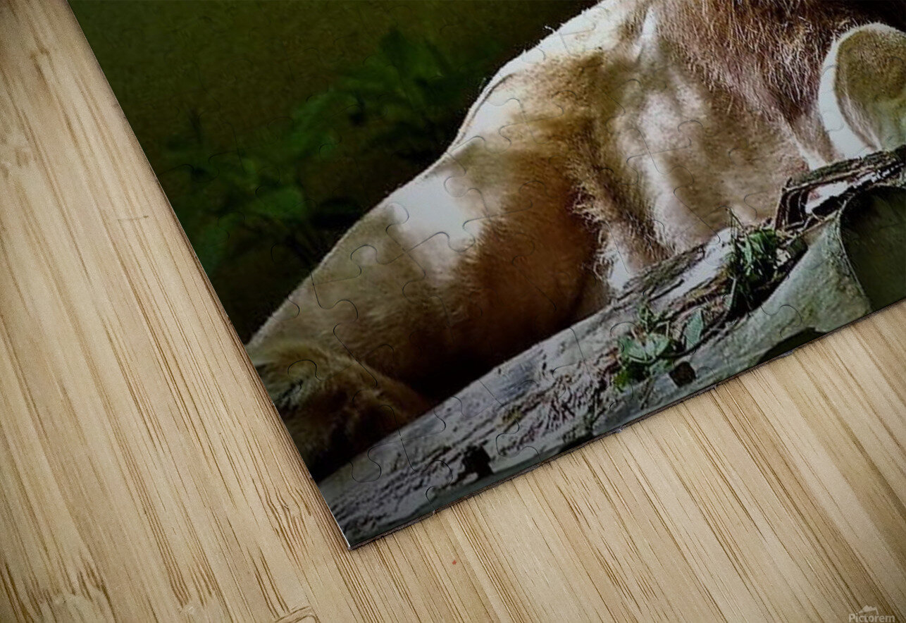 1719 mohamed elabari Puzzle