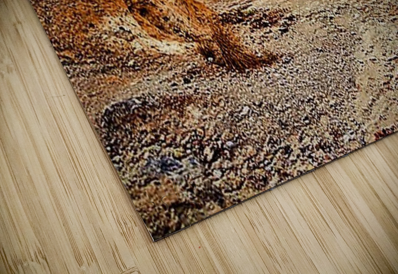 1815 mohamed elabari Puzzle