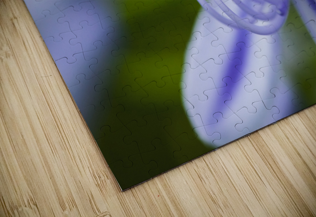 Agapanthus LilyInviting Friends X100 Rich Franco Puzzle