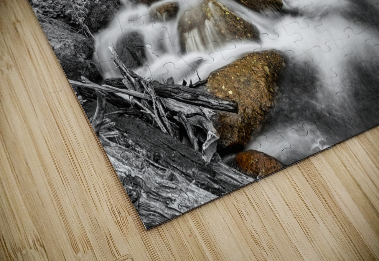 Roosevelt National Forest Stream BW Selective Bo Insogna Puzzle