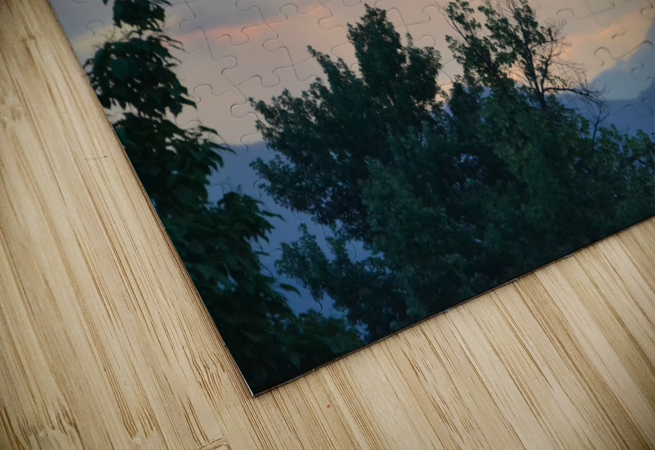 Sun breaking out of the trees to the heaven’s  Adam Orr Puzzle