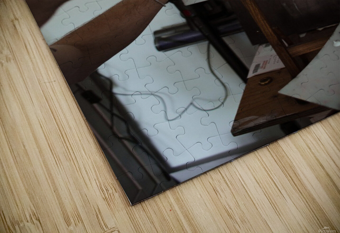 Bird Corey S Ribotsky Puzzle