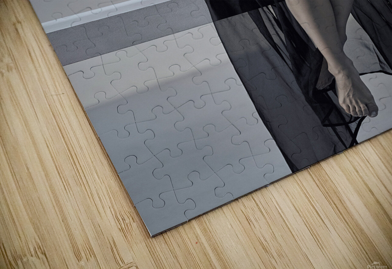 Nicole Dmiry Laudin Puzzle