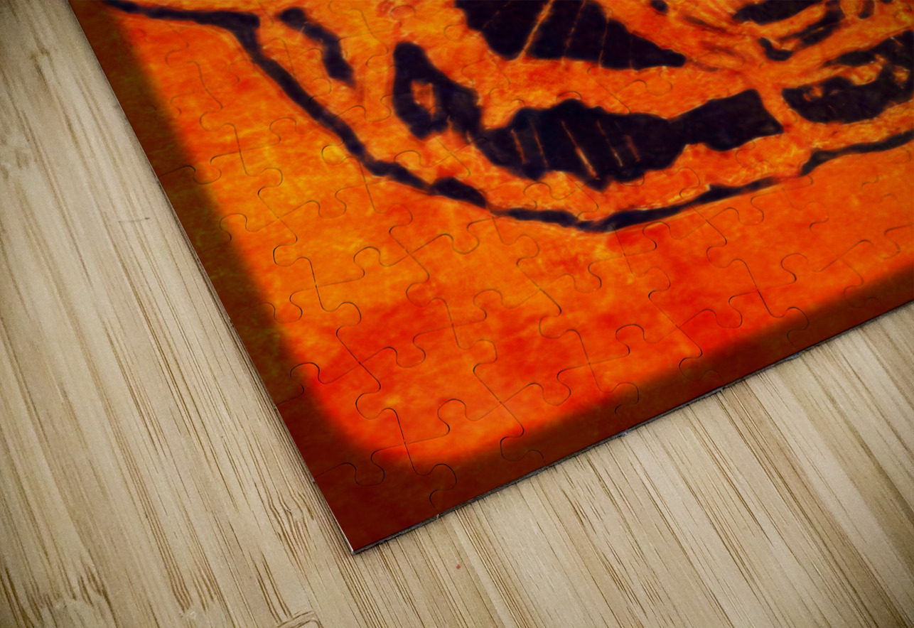 Auburn Tiger Throwback Viewfinder Art Row One Brand Puzzle