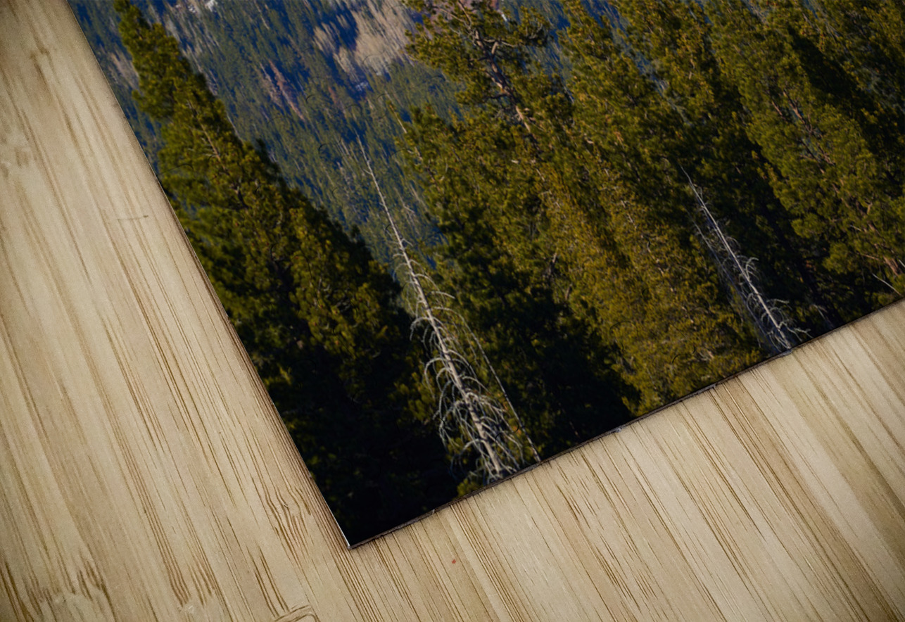 Snow Capped Mountain at Lake Tahoe CA 7R300695.jp Sanjeev Singhal Puzzle