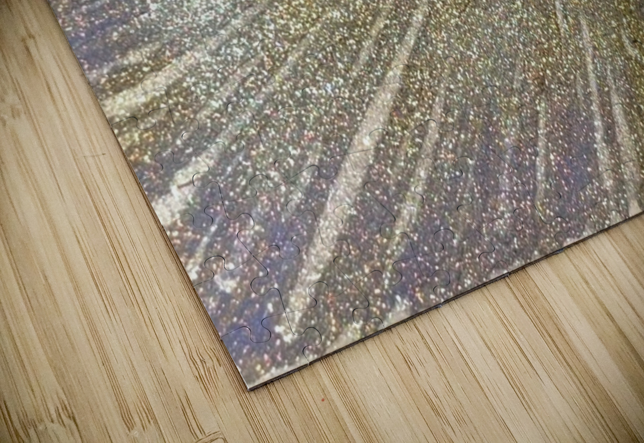 Golden Starburst  Bri Bass Puzzle