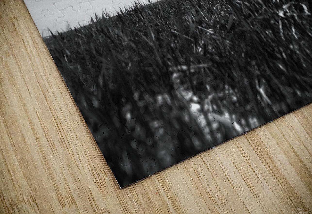 Country structure Southwest Six Puzzle