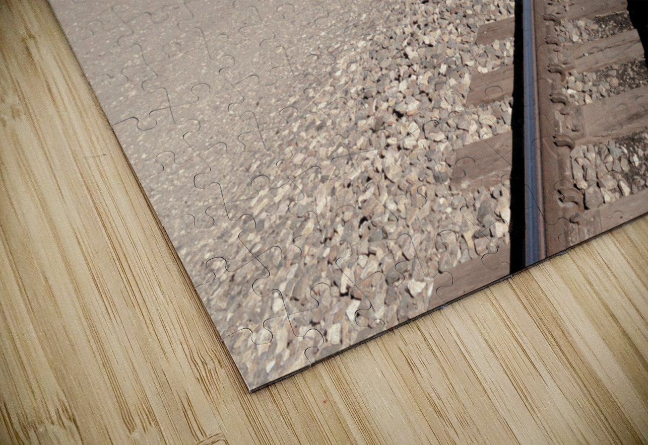 Two Tracks Mark Schacter Puzzle